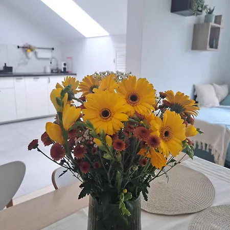 Cosyrest-odpocznij Przytulnie Apartment Wroclaw