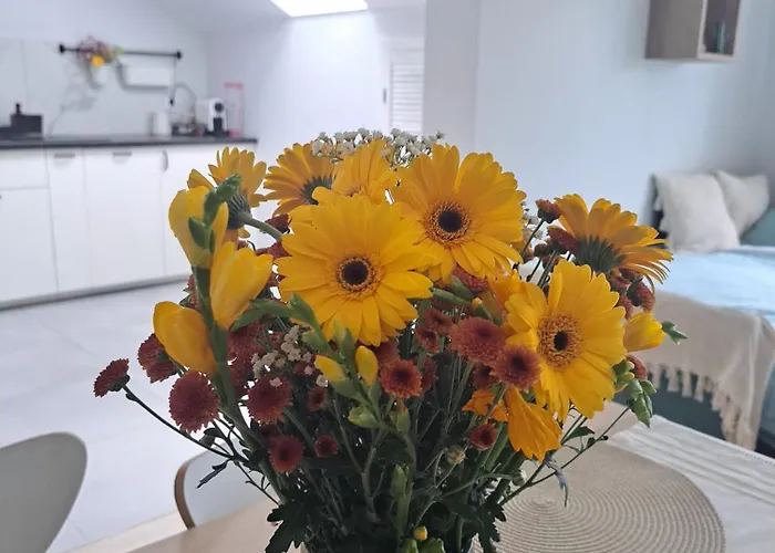 Cosyrest-odpocznij Przytulnie 아파트 브로츠와프